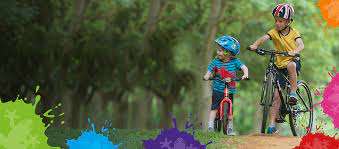 Frog Bikes