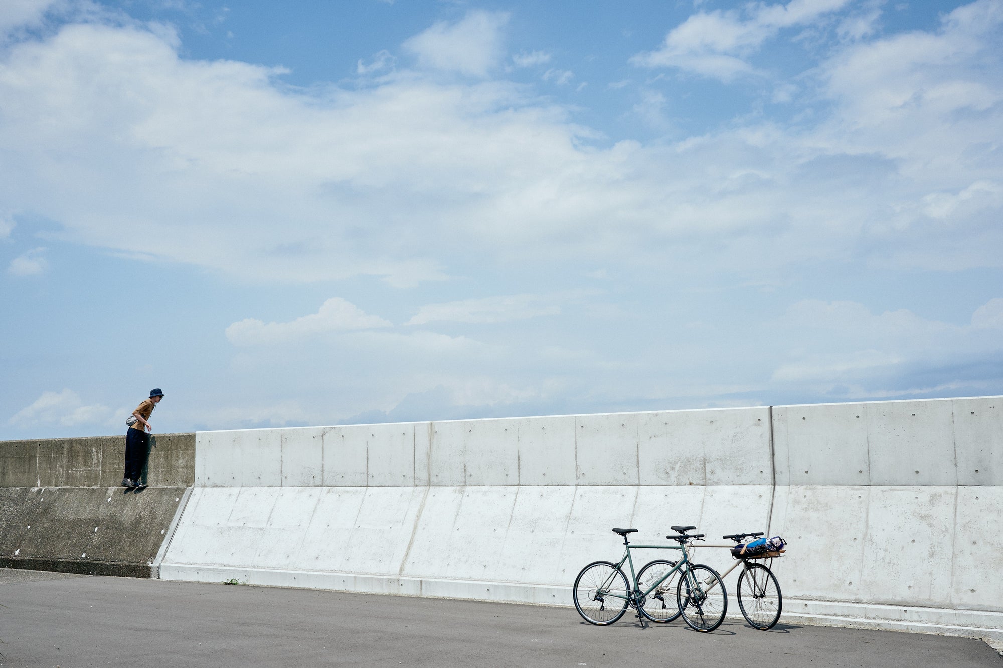 the bicycle collective