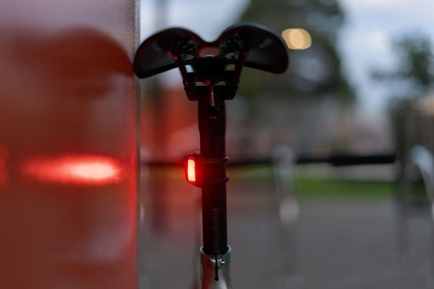 Frog Rear Bike Light