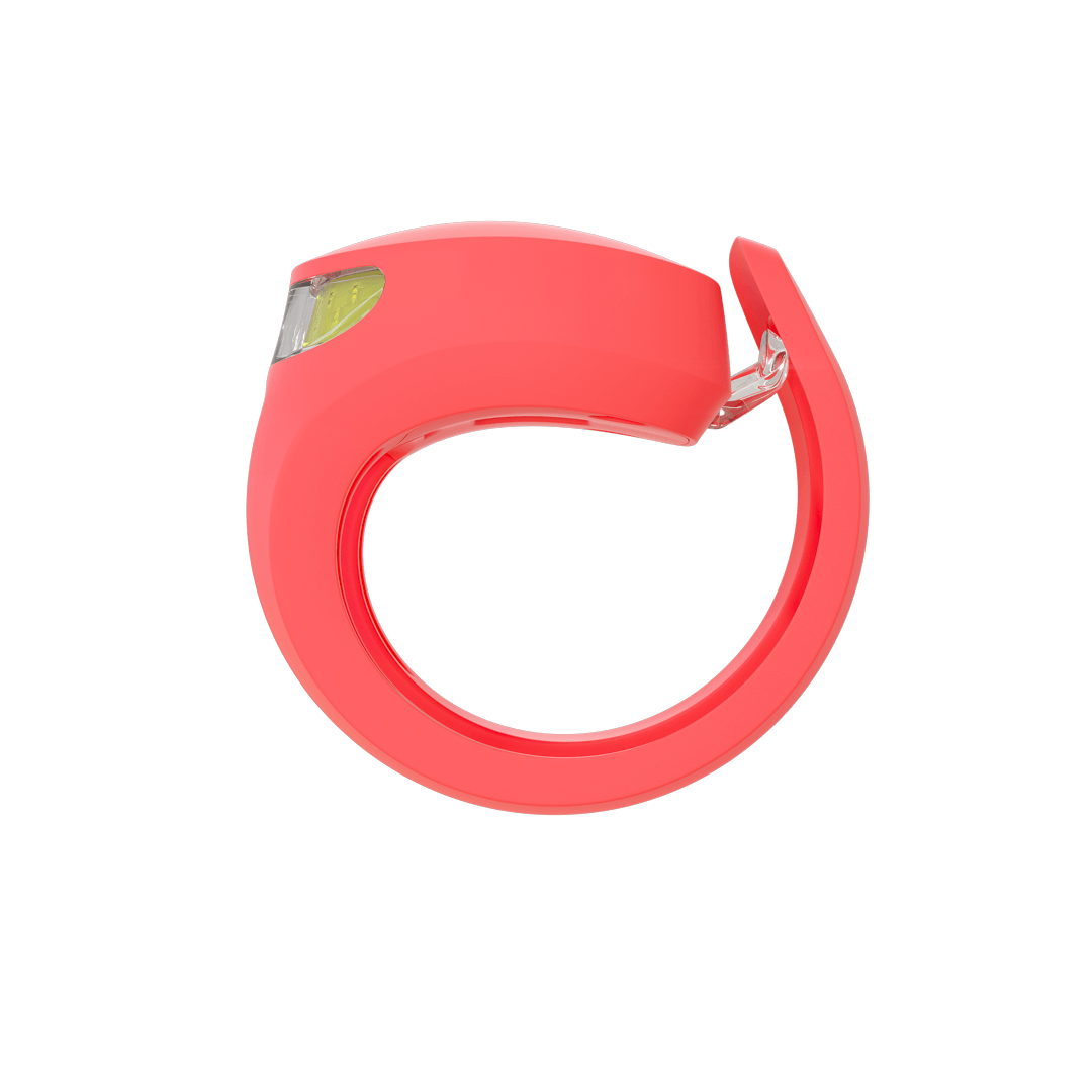 Frog Rear Bike Light